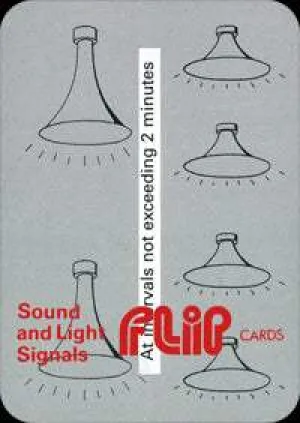 Flip Cards: Sound & Light Signals