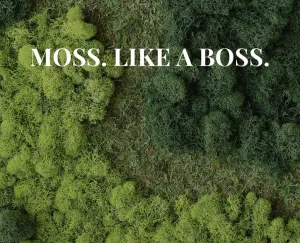 MossFusion Gift Cards